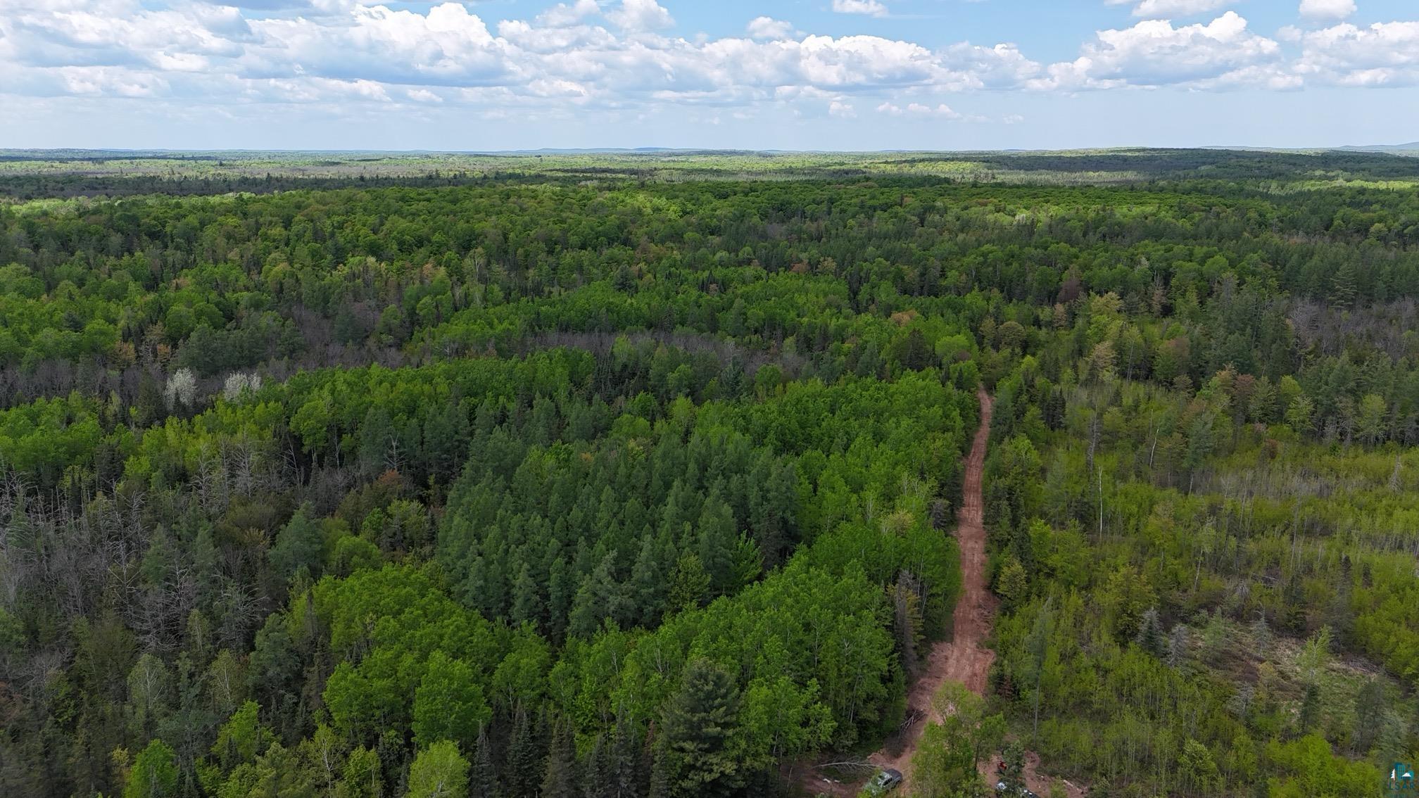 119-acres Near 119-acres Near Mertig Road Glidden, WI 54527 - Photo 4 of 8 Aerial view of a forest