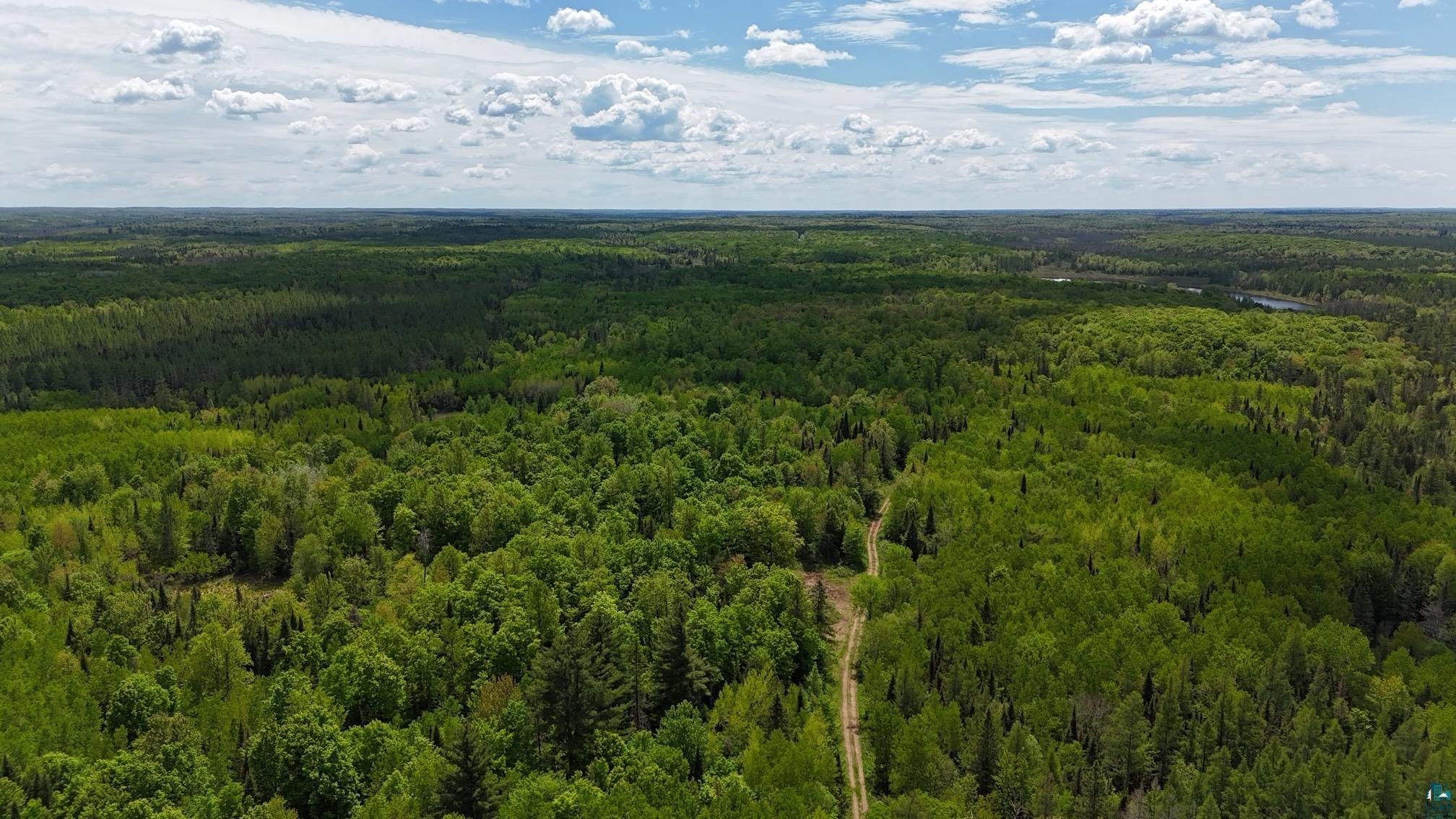 119-acres Near 119-acres Near Mertig Road Glidden, WI 54527 - Photo 5 of 8 Bird's eye view of a forest