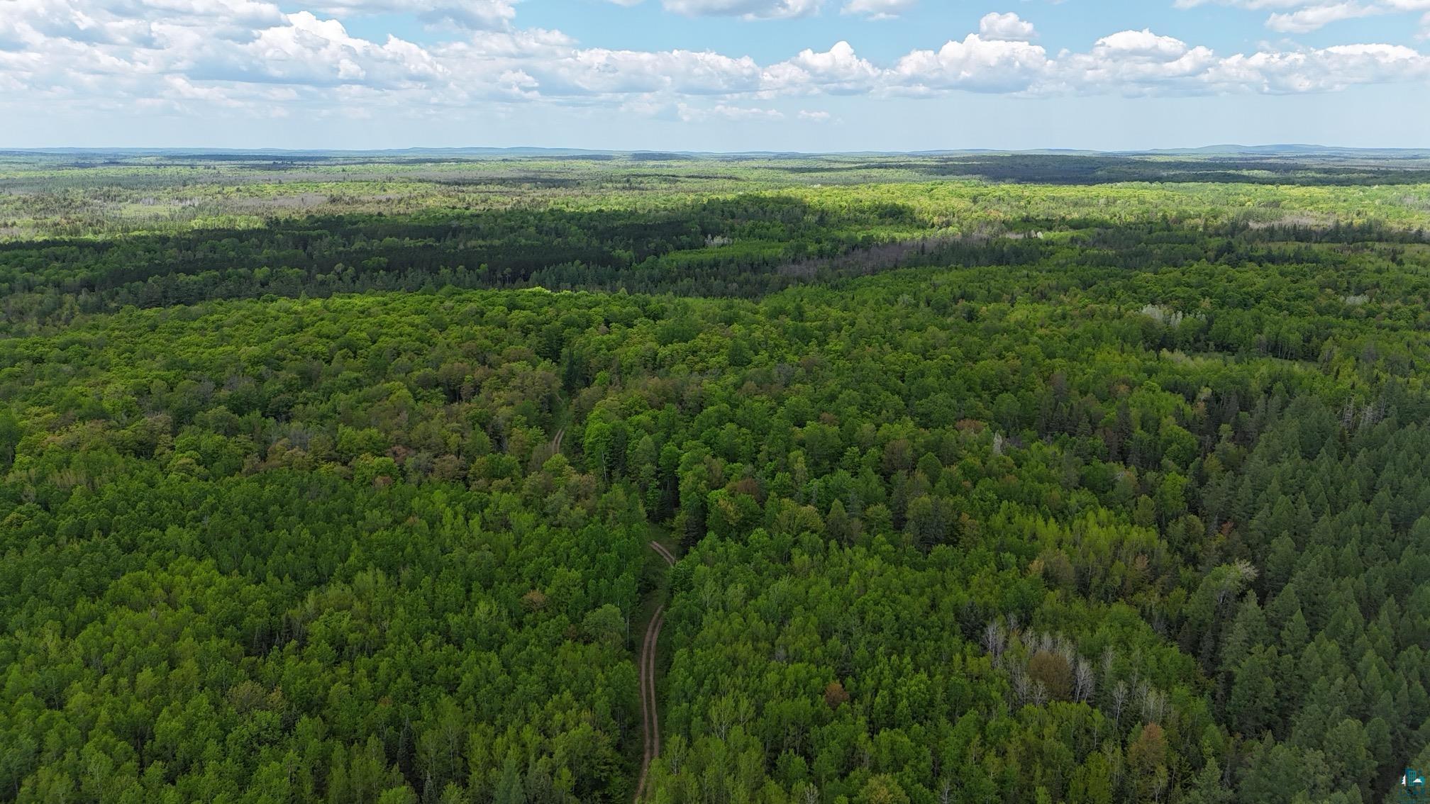 119-acres Near 119-acres Near Mertig Road Glidden, WI 54527 - Photo 6 of 8 Drone / aerial view of a forest