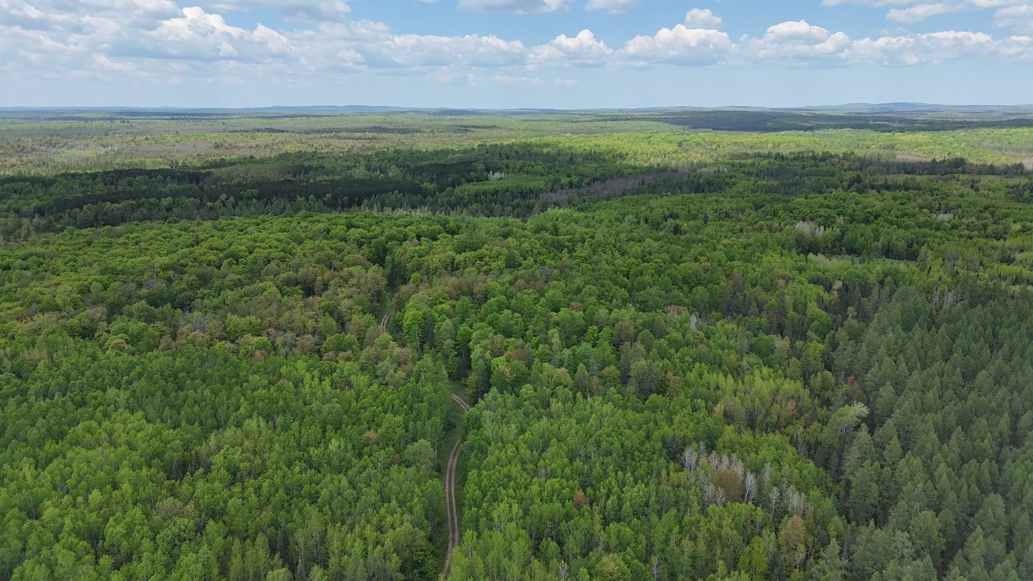 119-acres Near 119-acres Near Mertig Road Glidden, WI 54527 - Photo 7 of 8 Aerial view of a forest