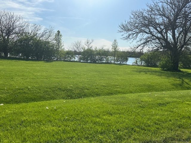 a view of a field of grass and trees
