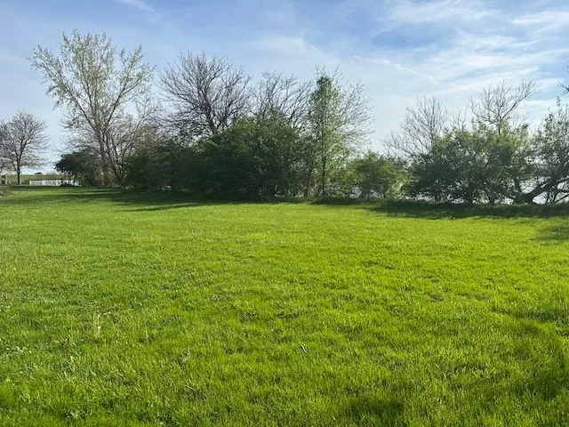 a view of a field with an trees in the background