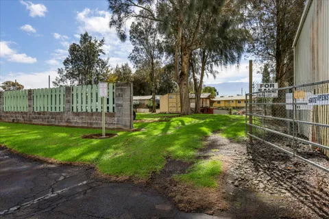 a view of a park with large trees