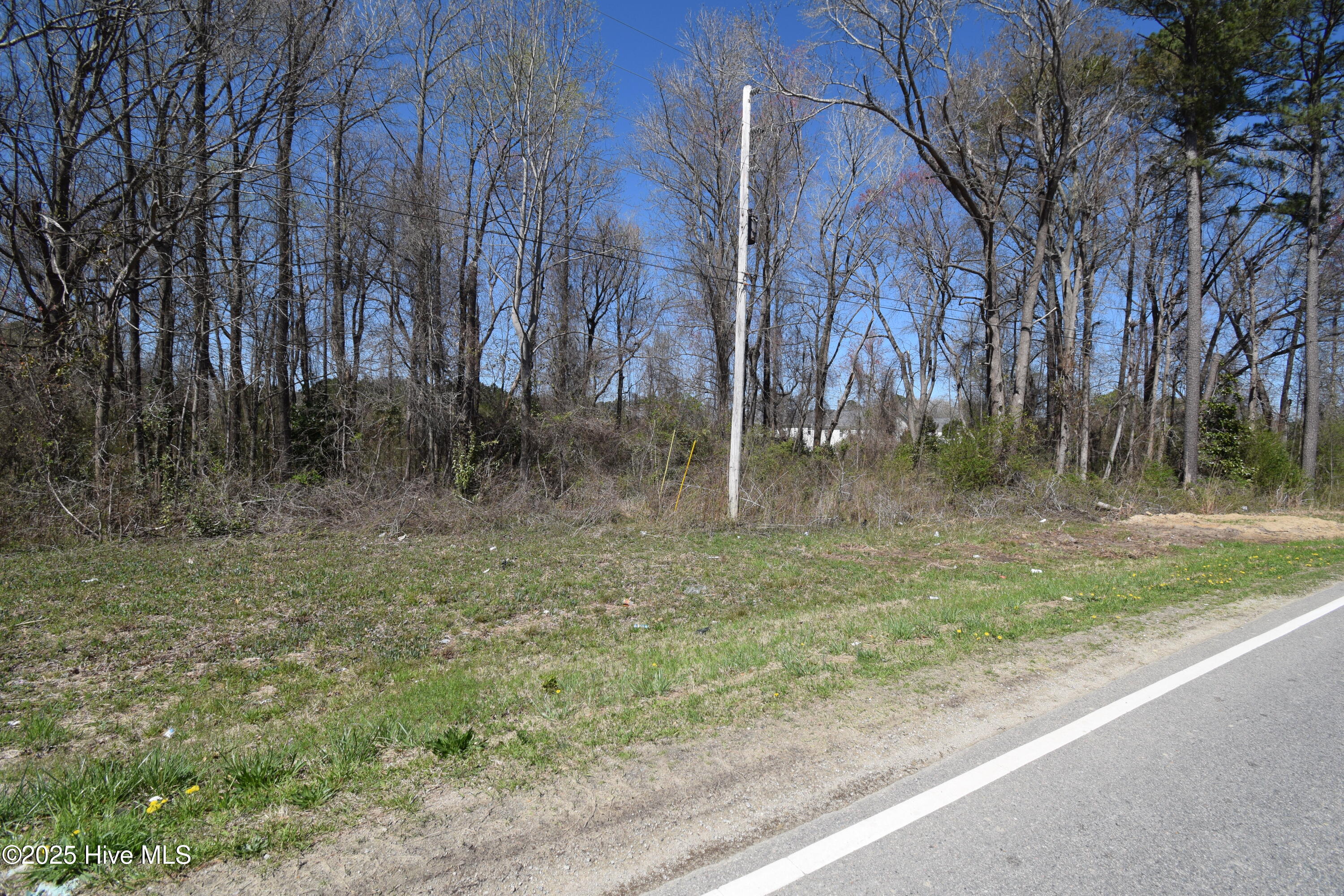 0 Williams Road Greenville, NC 27834 - Photo 3 of 4 DSC_4694