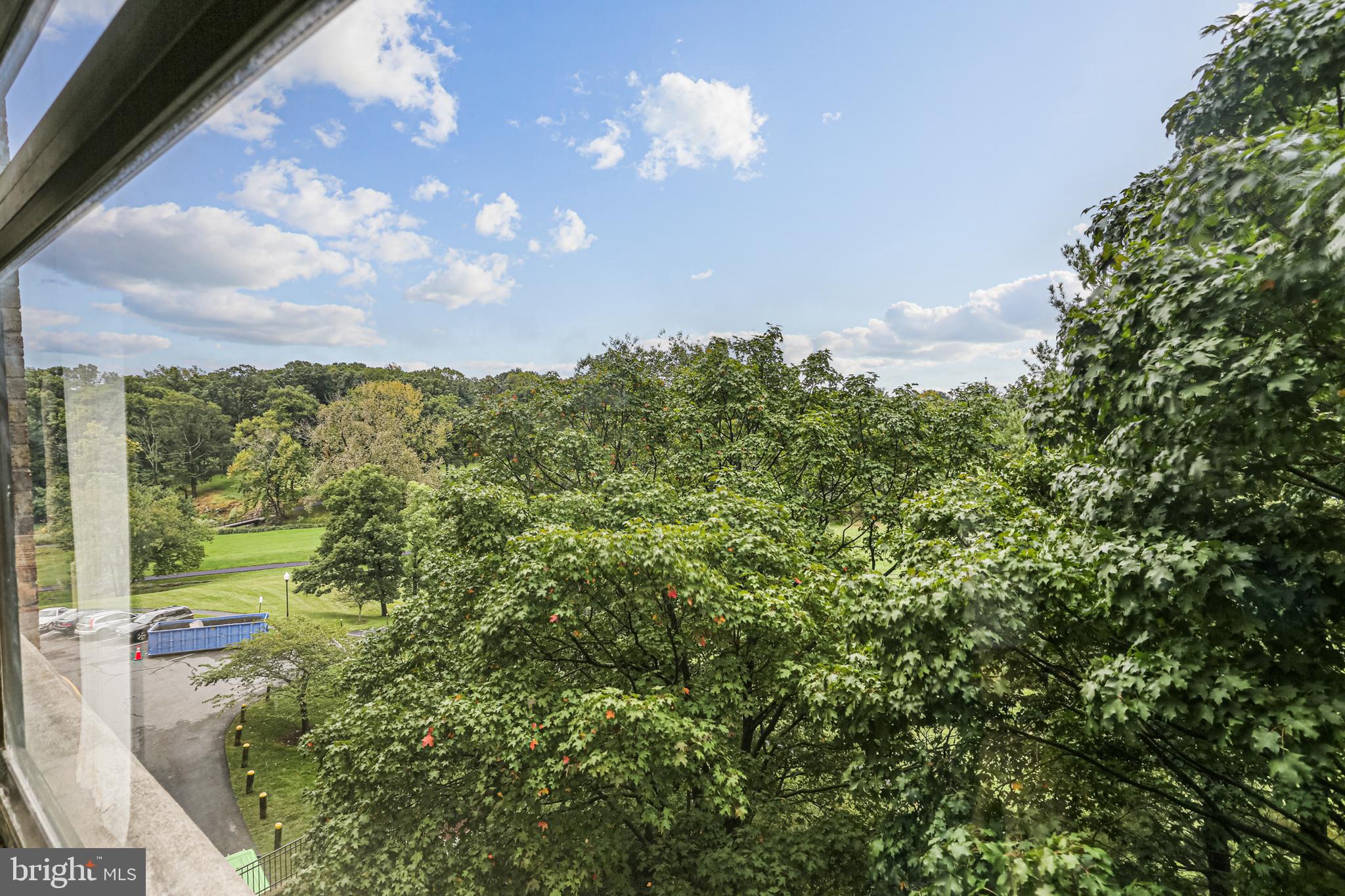 15101 Interlachen Drive, Unit 1504 Silver Spring, MD 20906 - Photo 18 of 37 Views!!