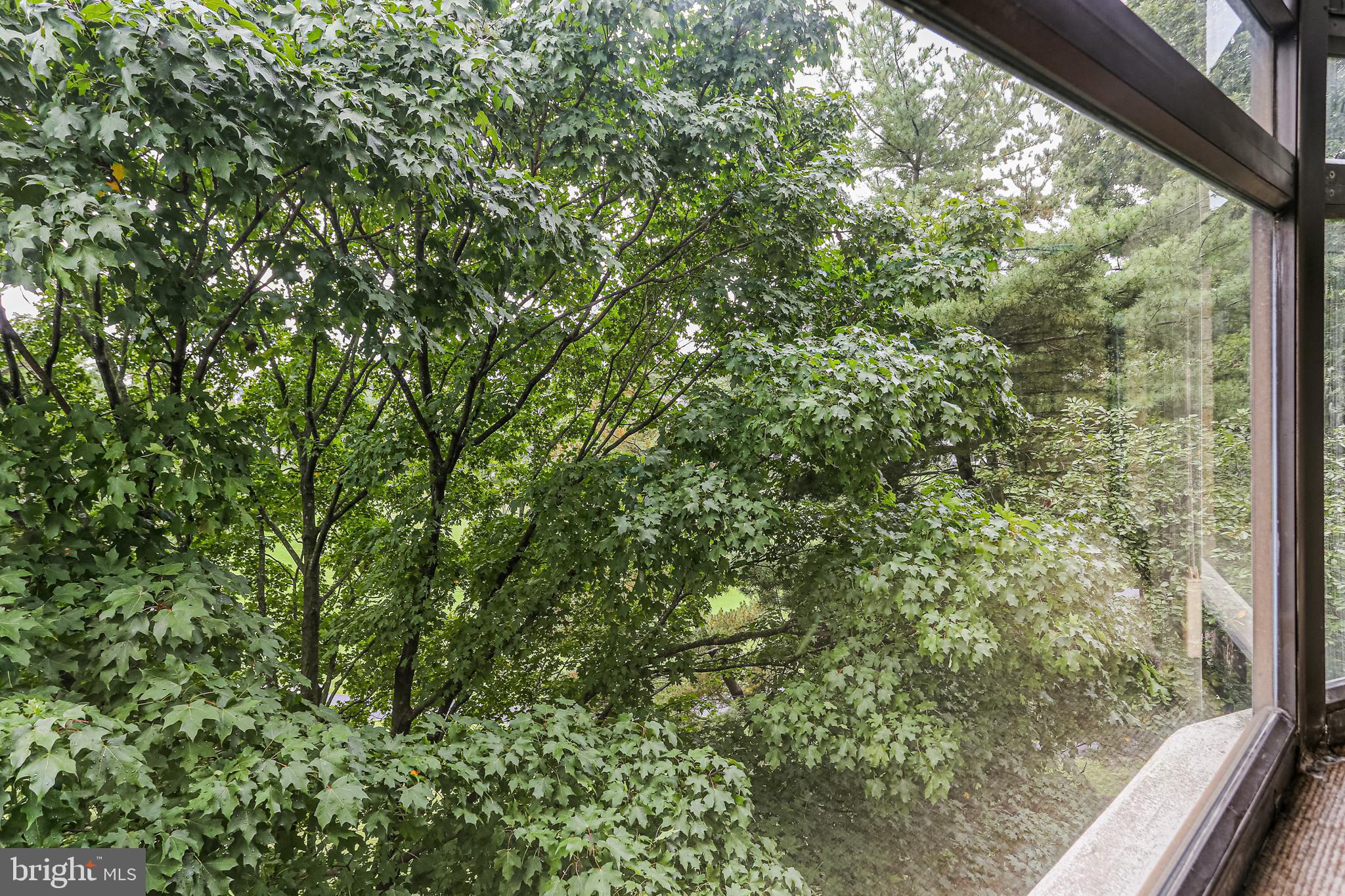 15101 Interlachen Drive, Unit 1504 Silver Spring, MD 20906 - Photo 19 of 37 Views!!!