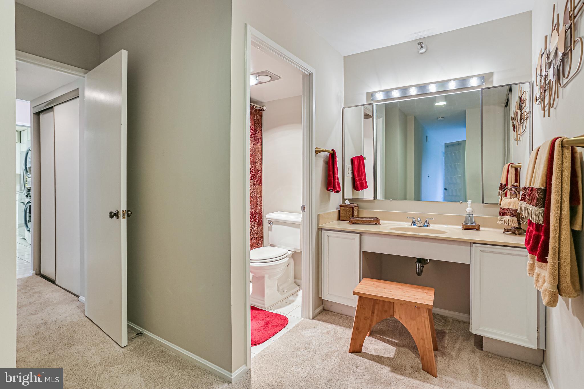 15101 Interlachen Drive, Unit 1504 Silver Spring, MD 20906 - Photo 25 of 37 Primary Bath