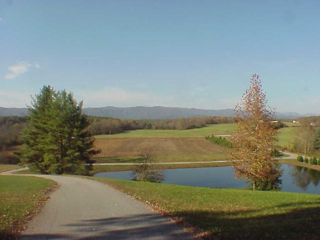 661 Cheohee Valley Road Tamassee, SC 29686 - Photo 2 of 7 Gallery Image 2