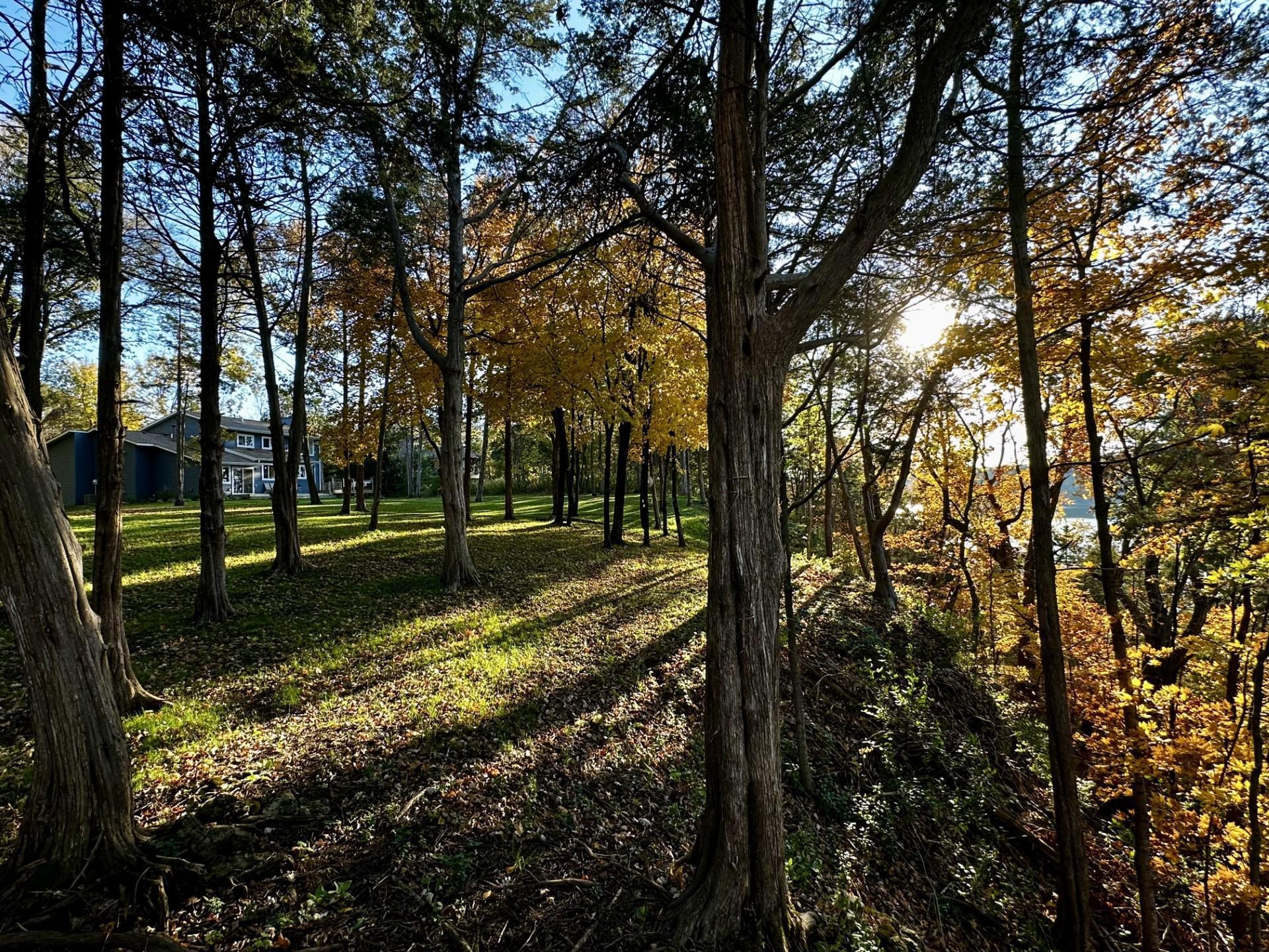 N6493 1323rd Street Prescott, WI 54021 - Photo 46 of 57