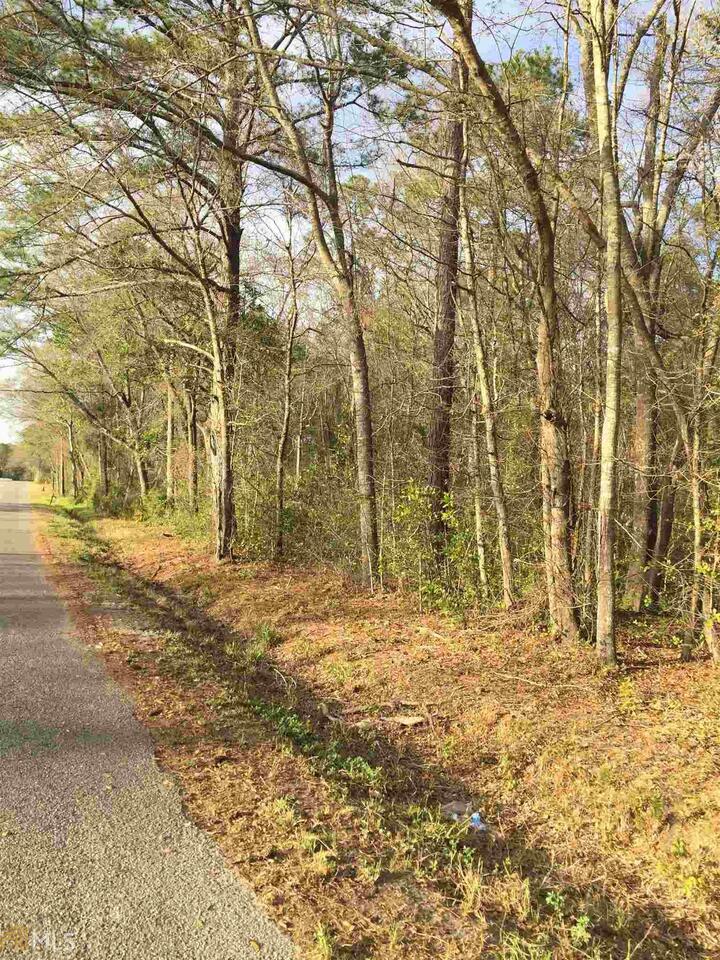 0 Indigo Road Springfield, GA 31329 - Photo 1 of 1