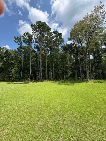 $2,275,000 | 3845 Delinger Drive, Mount Pleasant, SC 29429