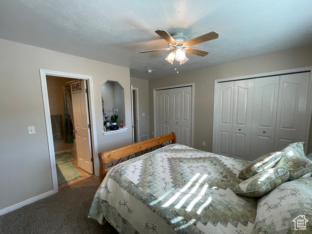 11473 South Dempsey Creek Road Lava Hot Springs, ID 83246 - Photo 18 of 47 Bedroom featuring two closets, carpet, a textured ceiling, a ceiling fan, and ensuite bathroom