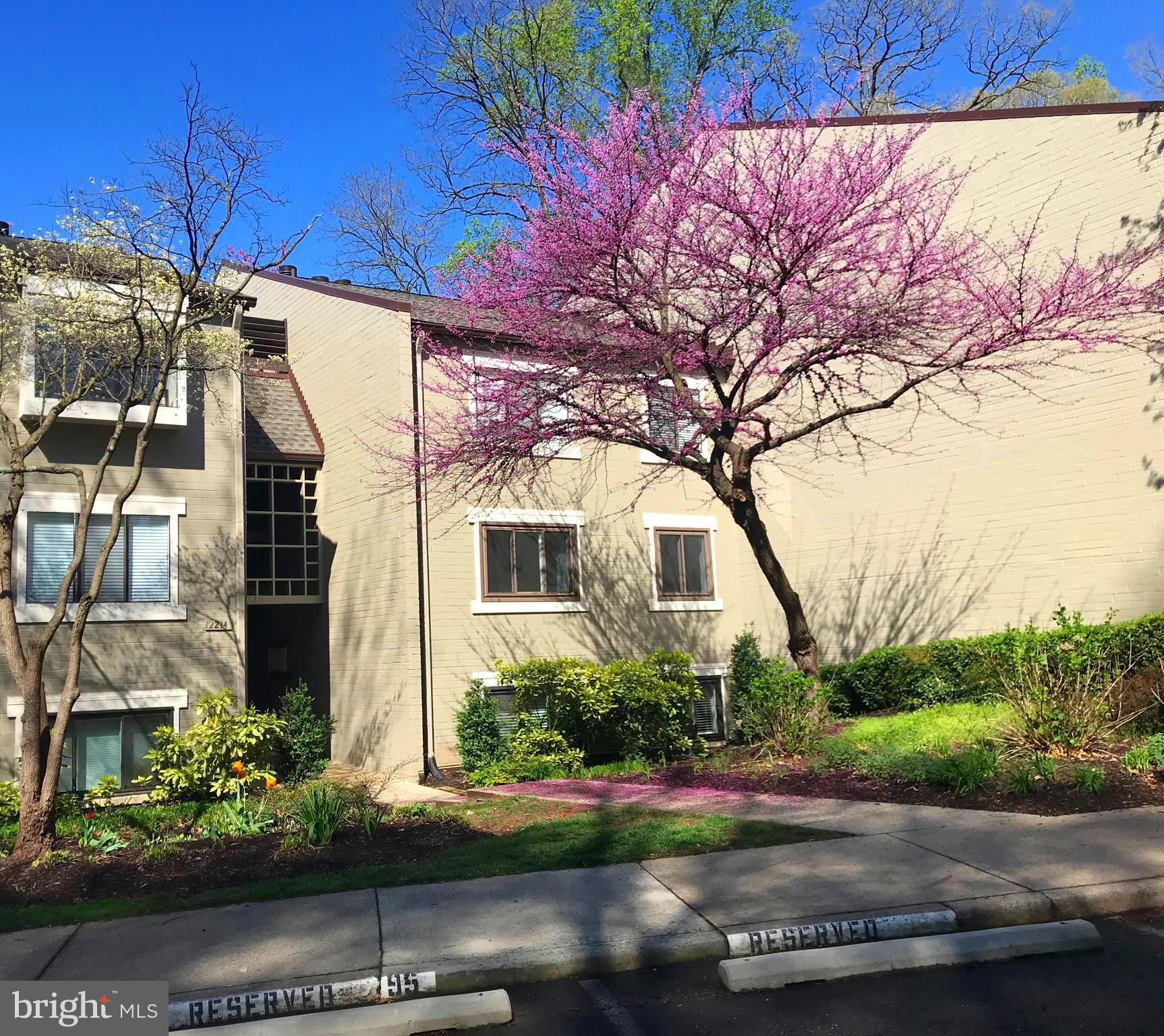 2214 Springwood Drive, Unit 104 Reston, VA 20191 - Photo 1 of 27 Building Front