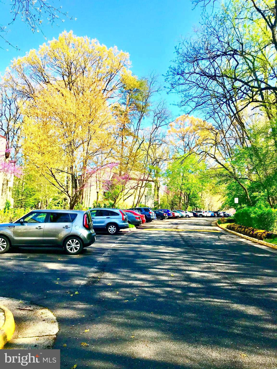 2214 Springwood Drive, Unit 104 Reston, VA 20191 - Photo 4 of 27 Front Building entrance parking