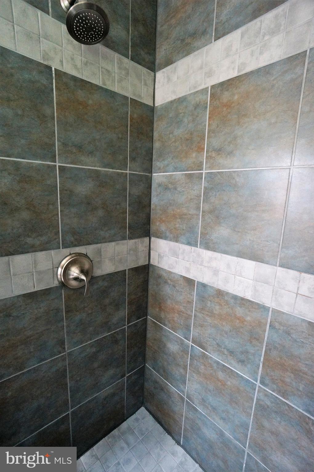 2000 Edgewater Parkway Silver Spring, MD 20903 - Photo 17 of 29 Gorgeous Tile Work
