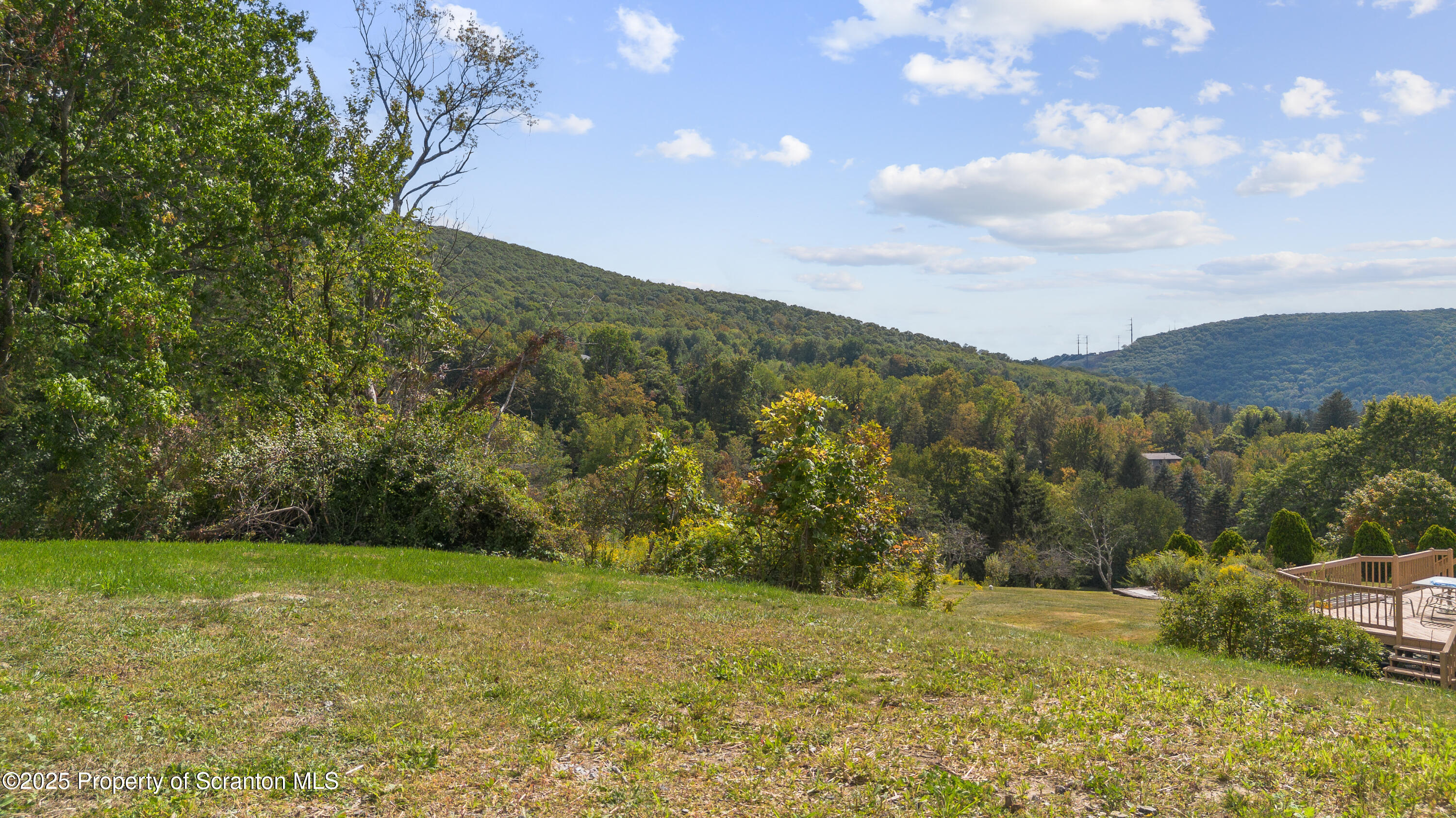 630 Layton Road Clarks Summit, PA 18411 - Photo 13 of 58 a view of a yard with an trees