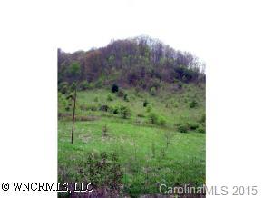 Off Sugar Cove Road Clyde, NC 28721 - Photo 1 of 5