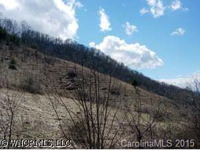 Off Sugar Cove Road Clyde, NC 28721 - Photo 2 of 5 a view of outside area