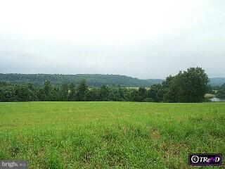Lot 4 Warwick Furnace Road Elverson, PA 19520 - Photo 1 of 1 Gallery Image 1