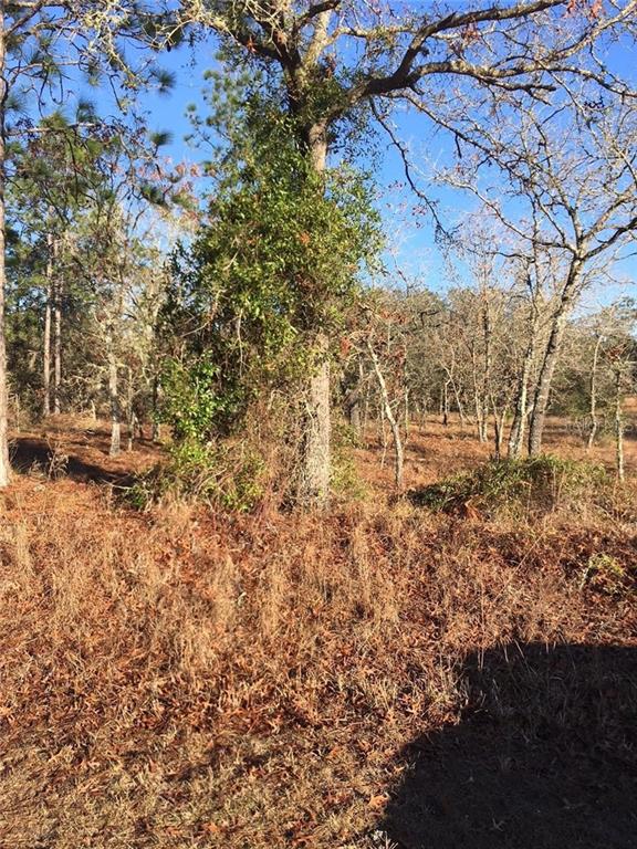 Timberlake Dunnellon, FL 34431 - Photo 1 of 1 Gallery Image 1