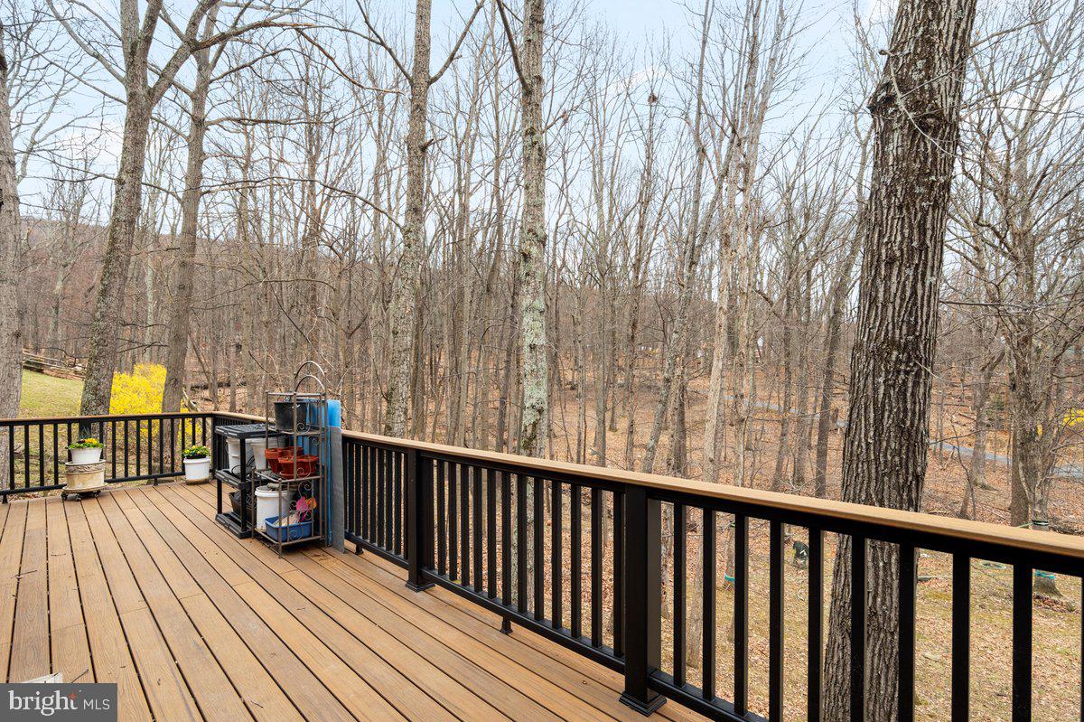 293 Sourmash Road Harpers Ferry, WV 25425 - Photo 19 of 30