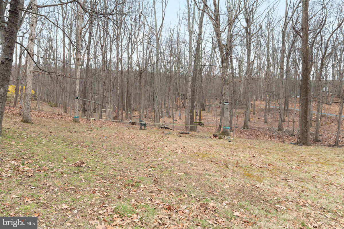 293 Sourmash Road Harpers Ferry, WV 25425 - Photo 25 of 30 Front Yard