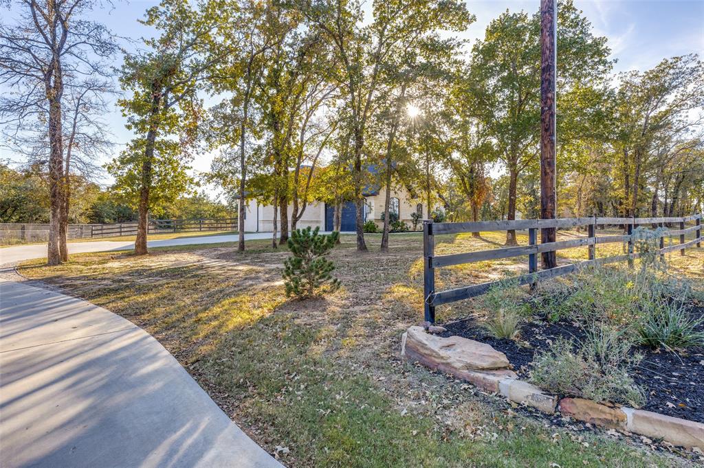 1029 Sunflower Paradise, TX 76073 - Photo 3 of 38 a park view with large trees