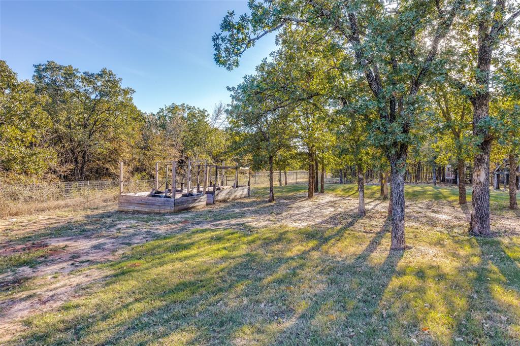 1029 Sunflower Paradise, TX 76073 - Photo 33 of 38 a view of yard with trees