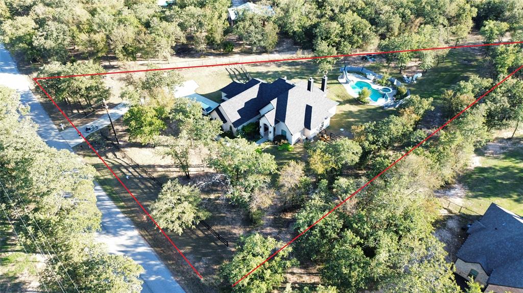 1029 Sunflower Paradise, TX 76073 - Photo 37 of 38 a view of a tree with a yard