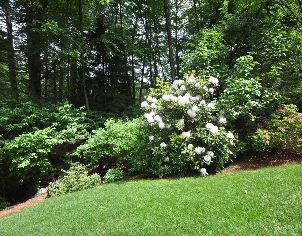 187 College Road Concord, MA 01742 - Photo 25 of 26