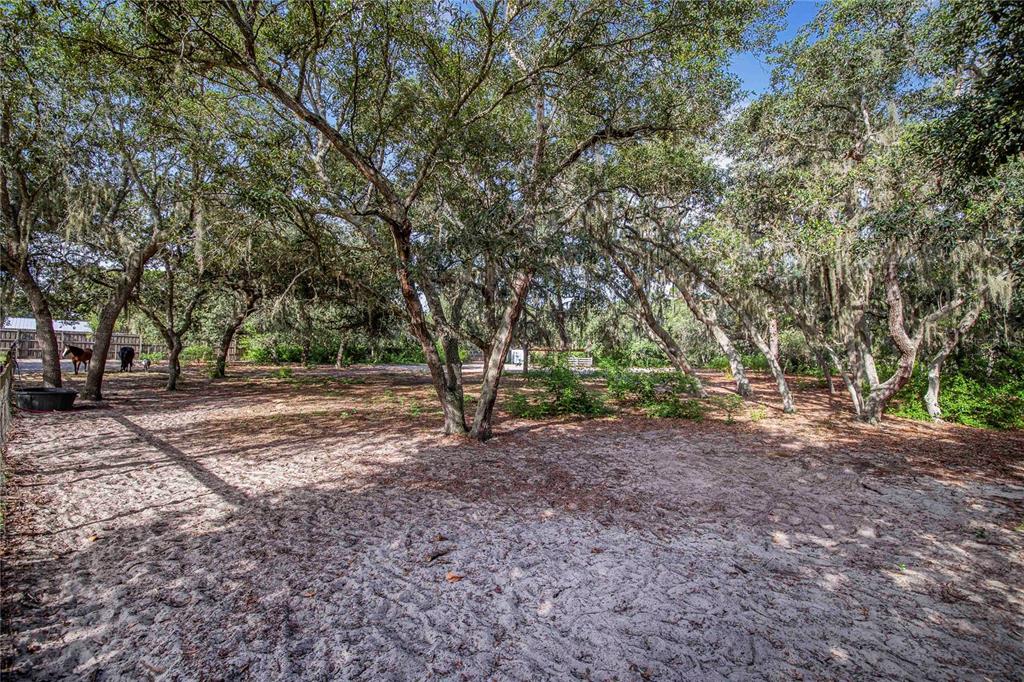 10740 Jim Edwards Road Haines City, FL 33844 - Photo 43 of 66