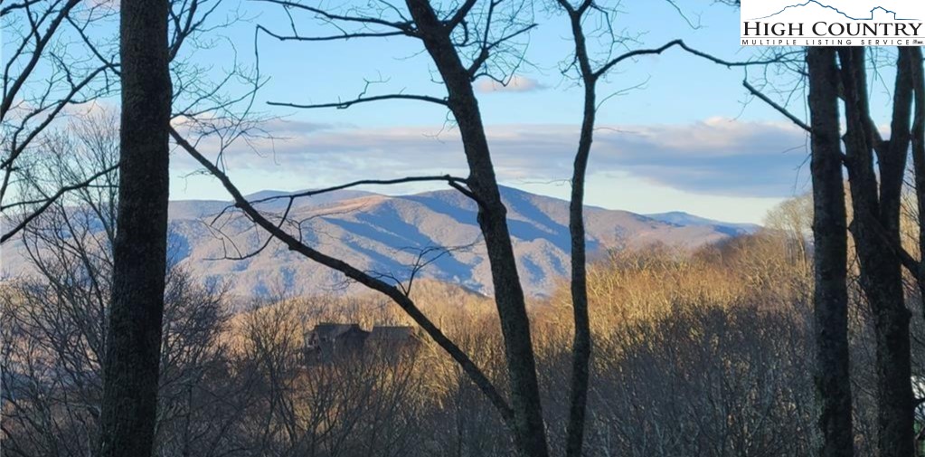 G56 Sky Camp Road Banner Elk, NC 28604 - Photo 2 of 11 a view of a yard from a tree