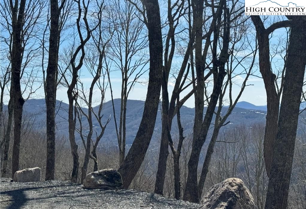 G56 Sky Camp Road Banner Elk, NC 28604 - Photo 6 of 11 a backyard of a house with lots of trees