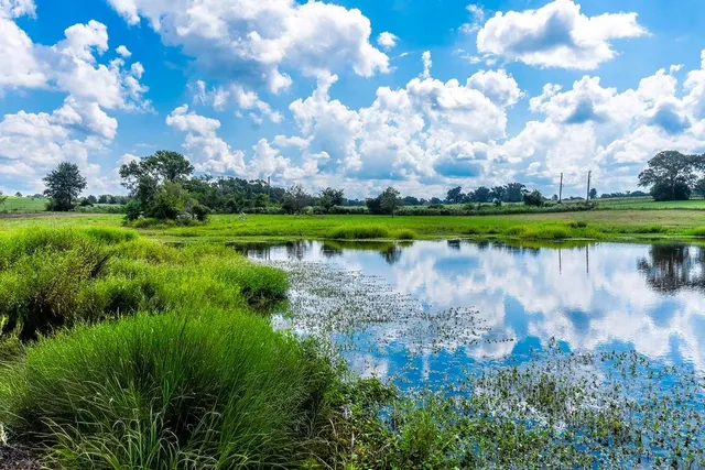 a view of a lake with a big yard