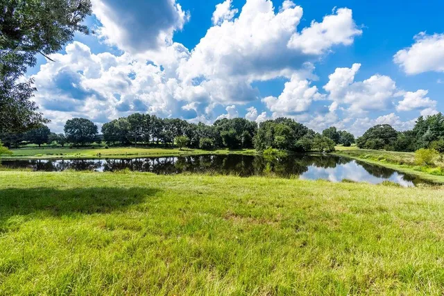 a front view of house with yard