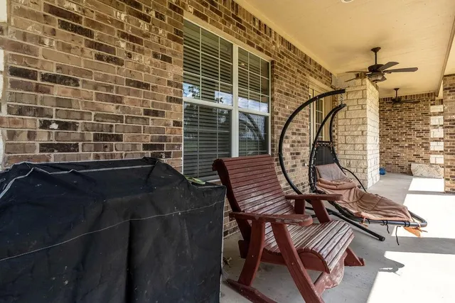 a view of a large trees with a big yard