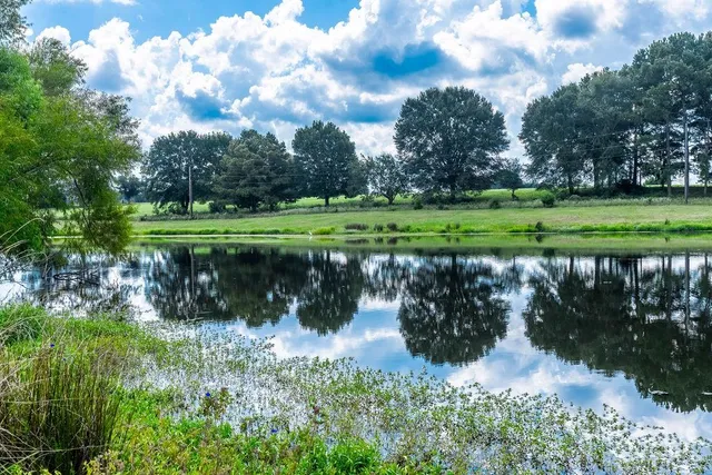 a view of a lake with a big yard