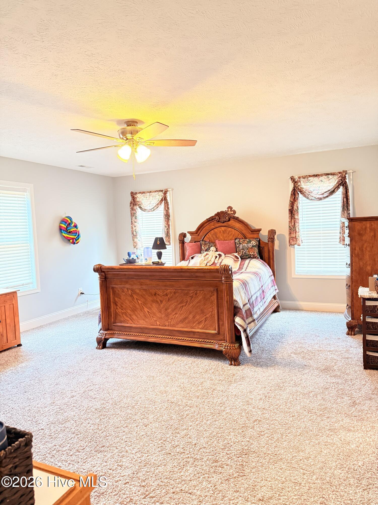 137 Manley Road Carthage, NC 28327 - Photo 10 of 22