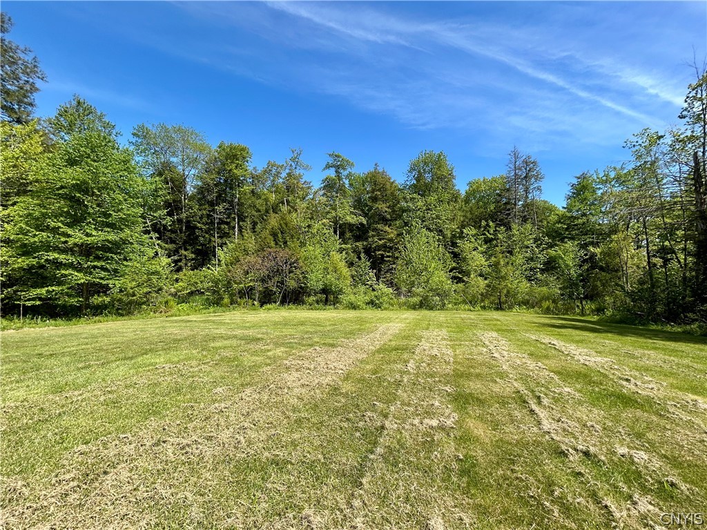 75 Dam Road Orwell, NY 13302 - Photo 29 of 34 A large backyard, yet private from the outside wor