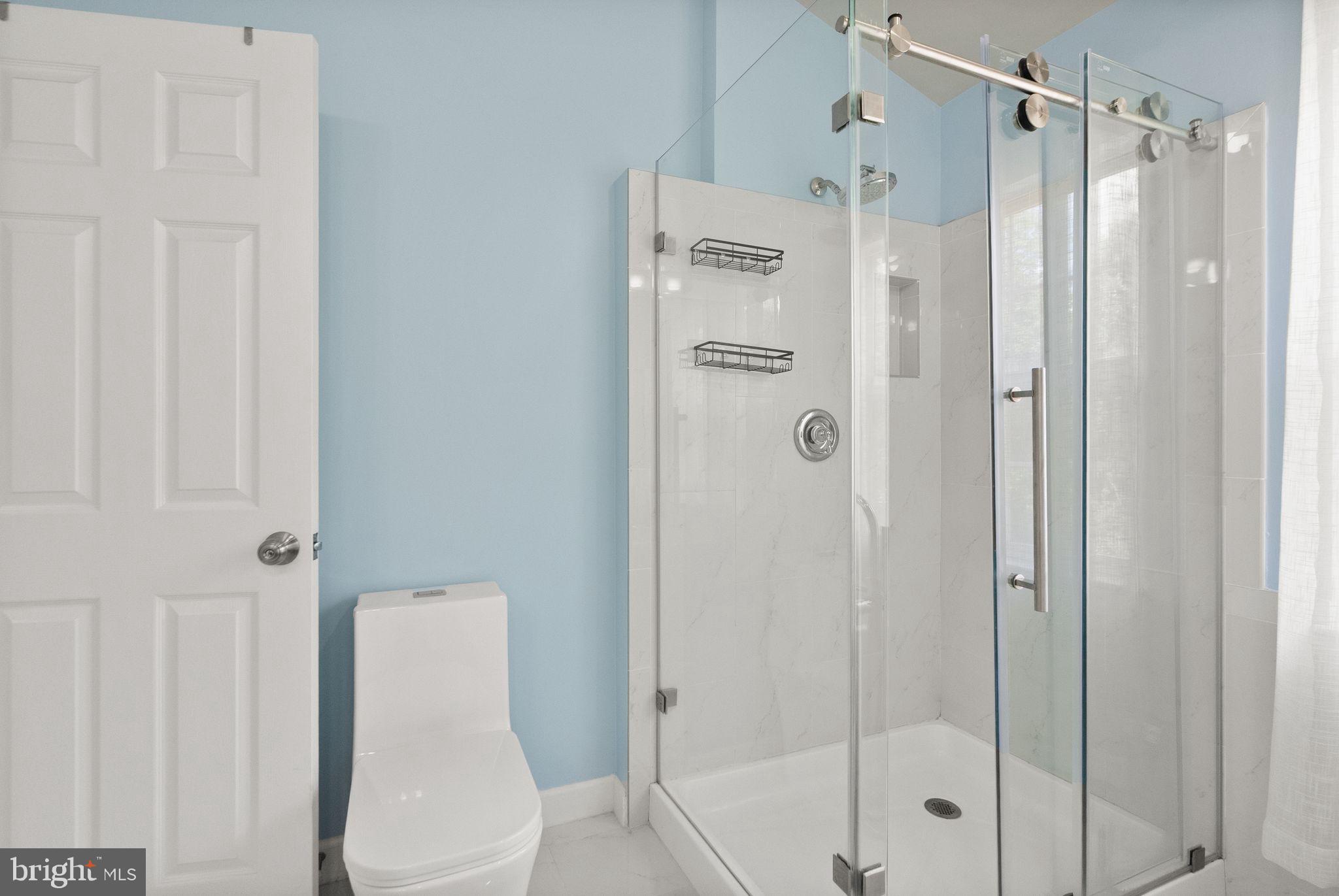 21659 Frame Square Broadlands, VA 20148 - Photo 46 of 68 a bathroom with a shower and toilet