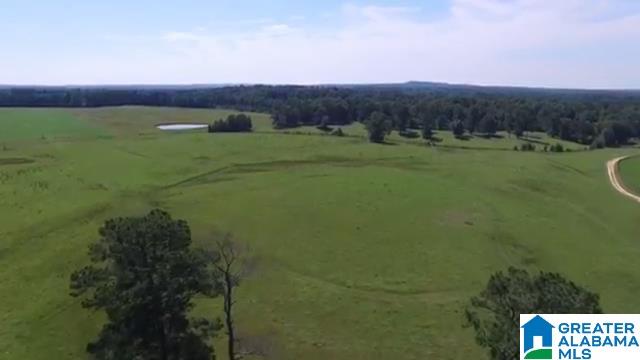 1854 Claud Fleahop Road, Unit 129 4 Eclectic, AL 36024 - Photo 11 of 50
