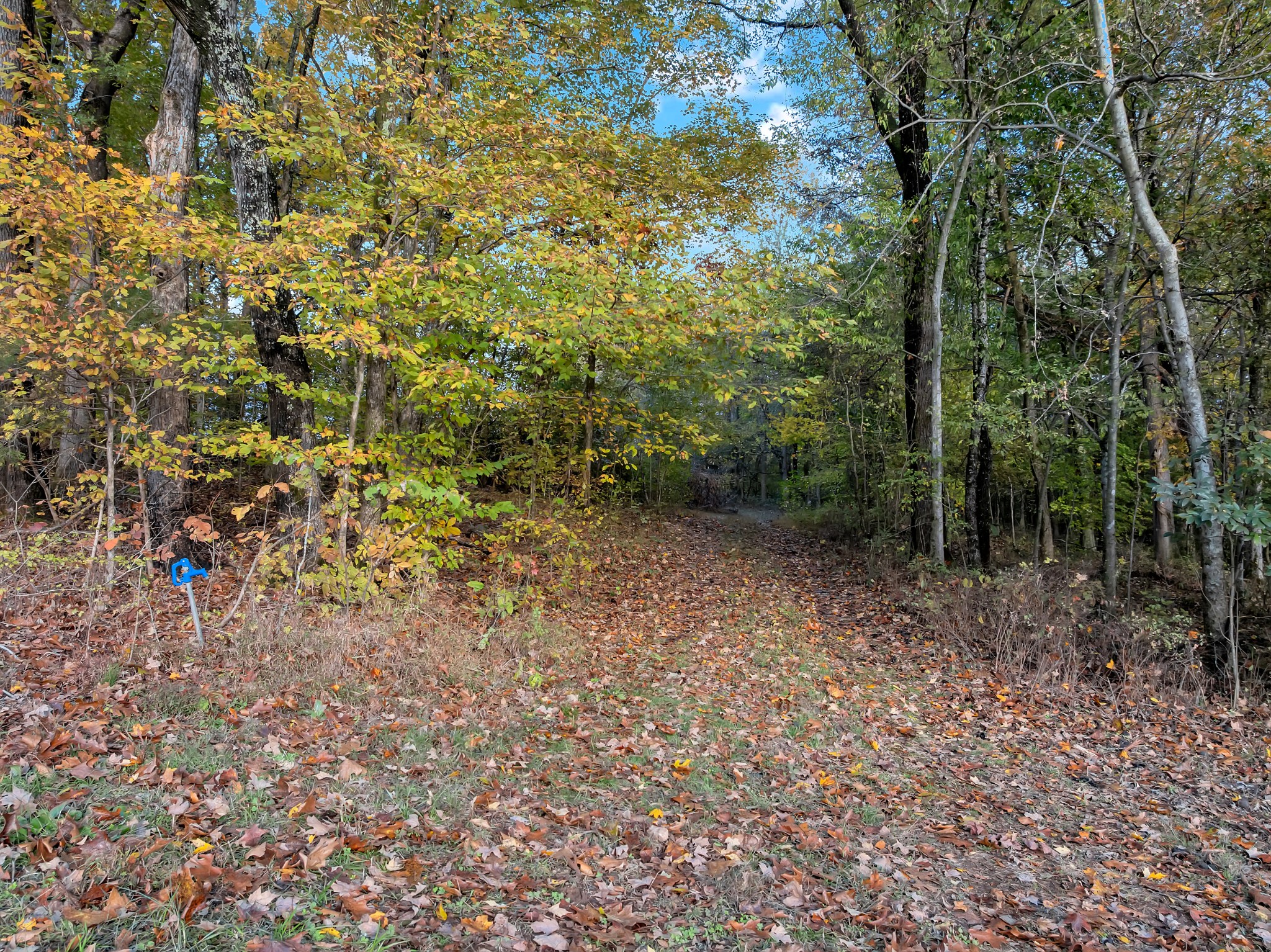 0 Batson Mill Road Charlotte, TN 37036 - Photo 11 of 22