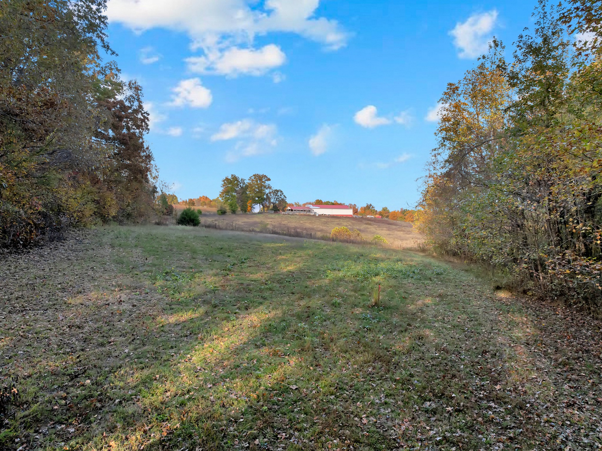 0 Batson Mill Road Charlotte, TN 37036 - Photo 12 of 22