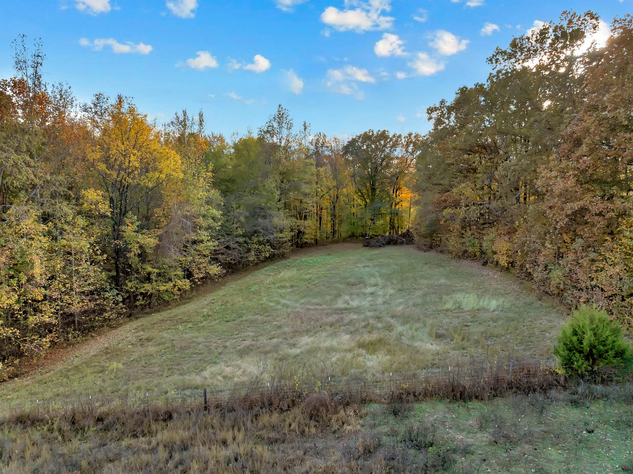 0 Batson Mill Road Charlotte, TN 37036 - Photo 13 of 22