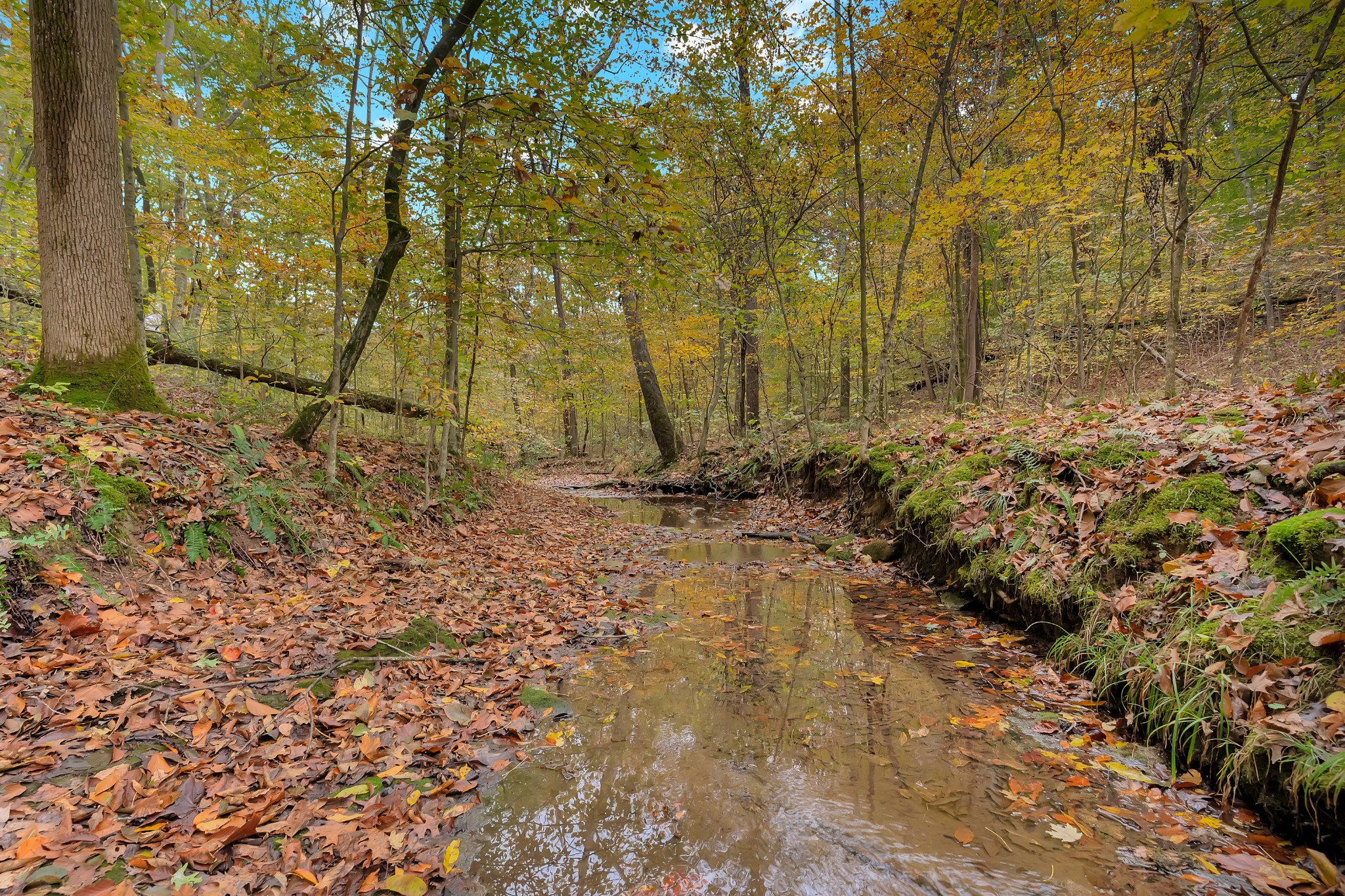 0 Batson Mill Road Charlotte, TN 37036 - Photo 14 of 22