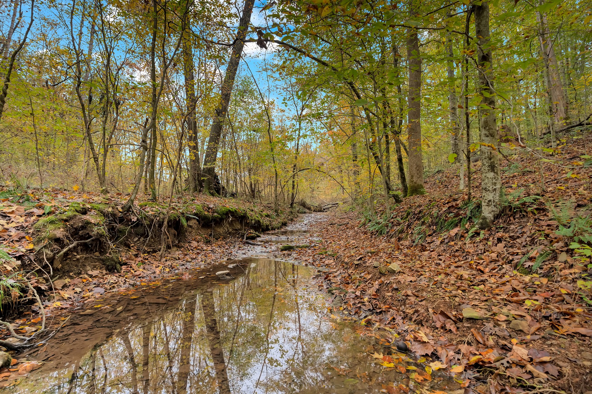 0 Batson Mill Road Charlotte, TN 37036 - Photo 15 of 22