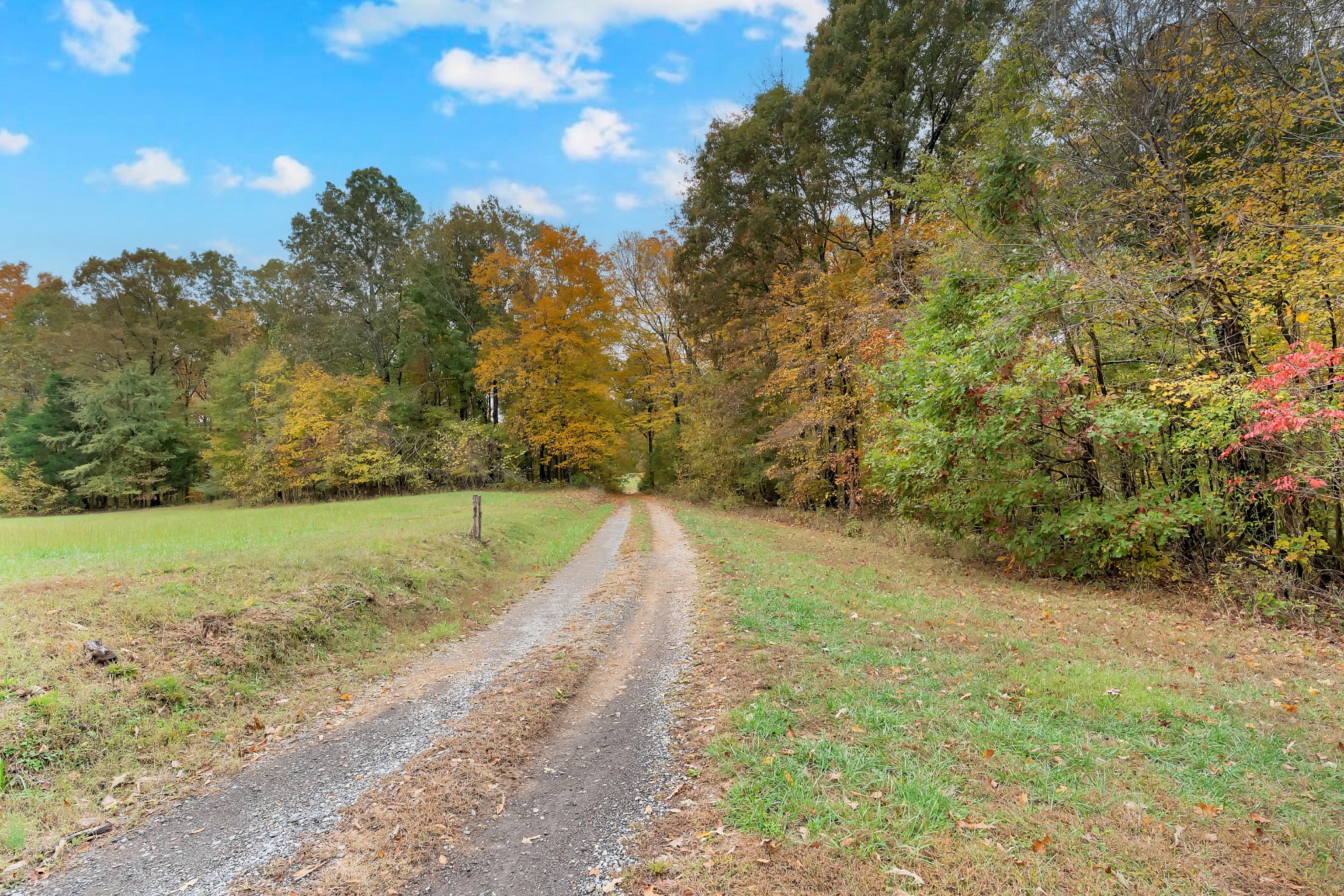 0 Batson Mill Road Charlotte, TN 37036 - Photo 18 of 22