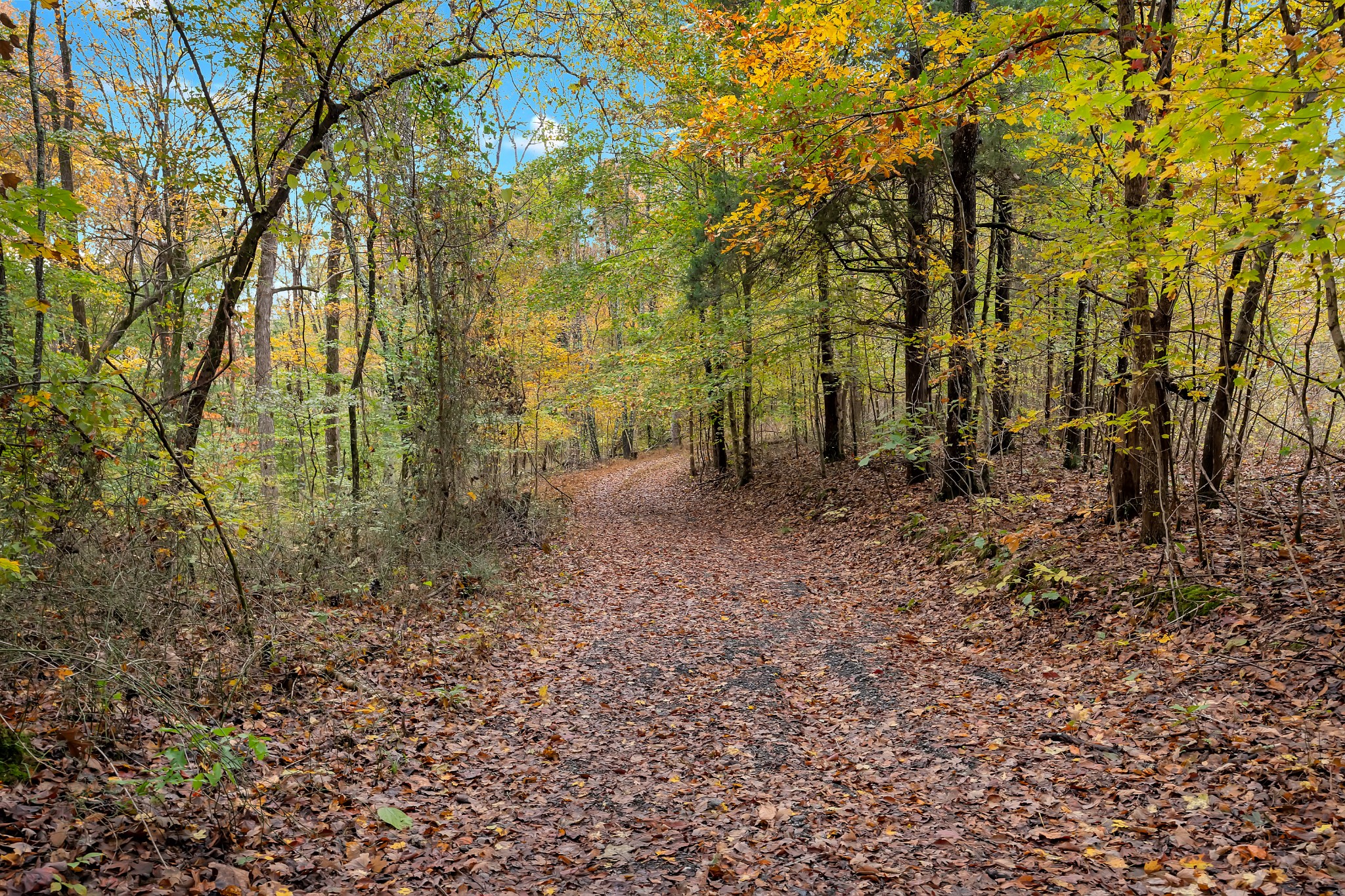 0 Batson Mill Road Charlotte, TN 37036 - Photo 19 of 22