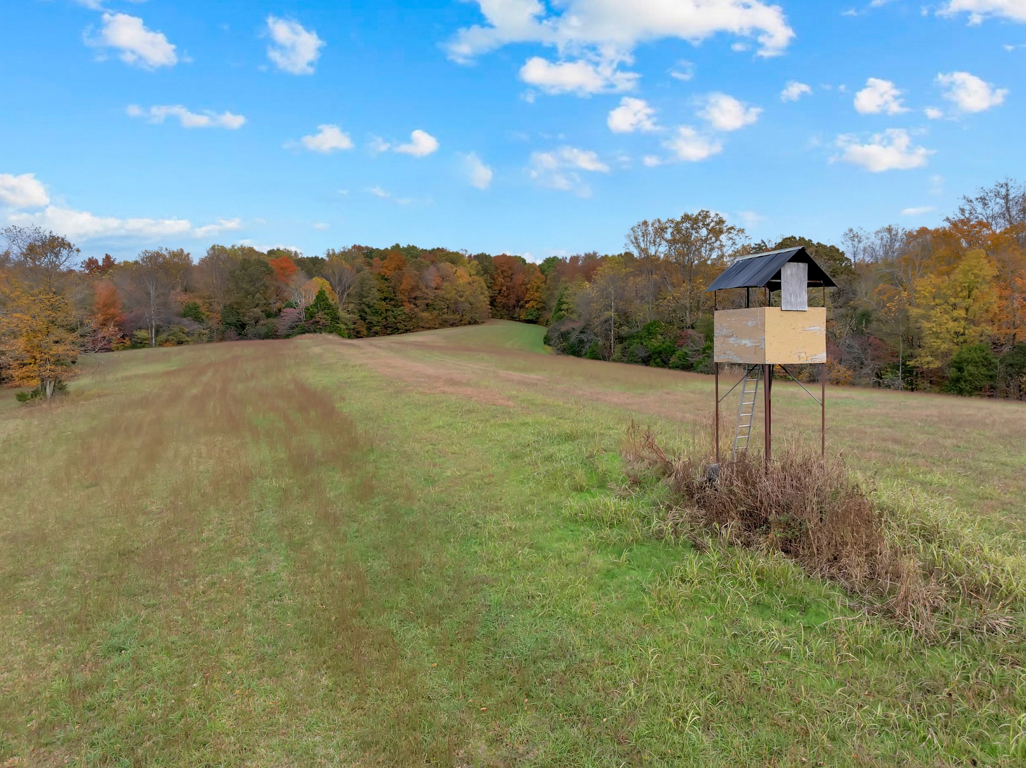 0 Batson Mill Road Charlotte, TN 37036 - Photo 2 of 22