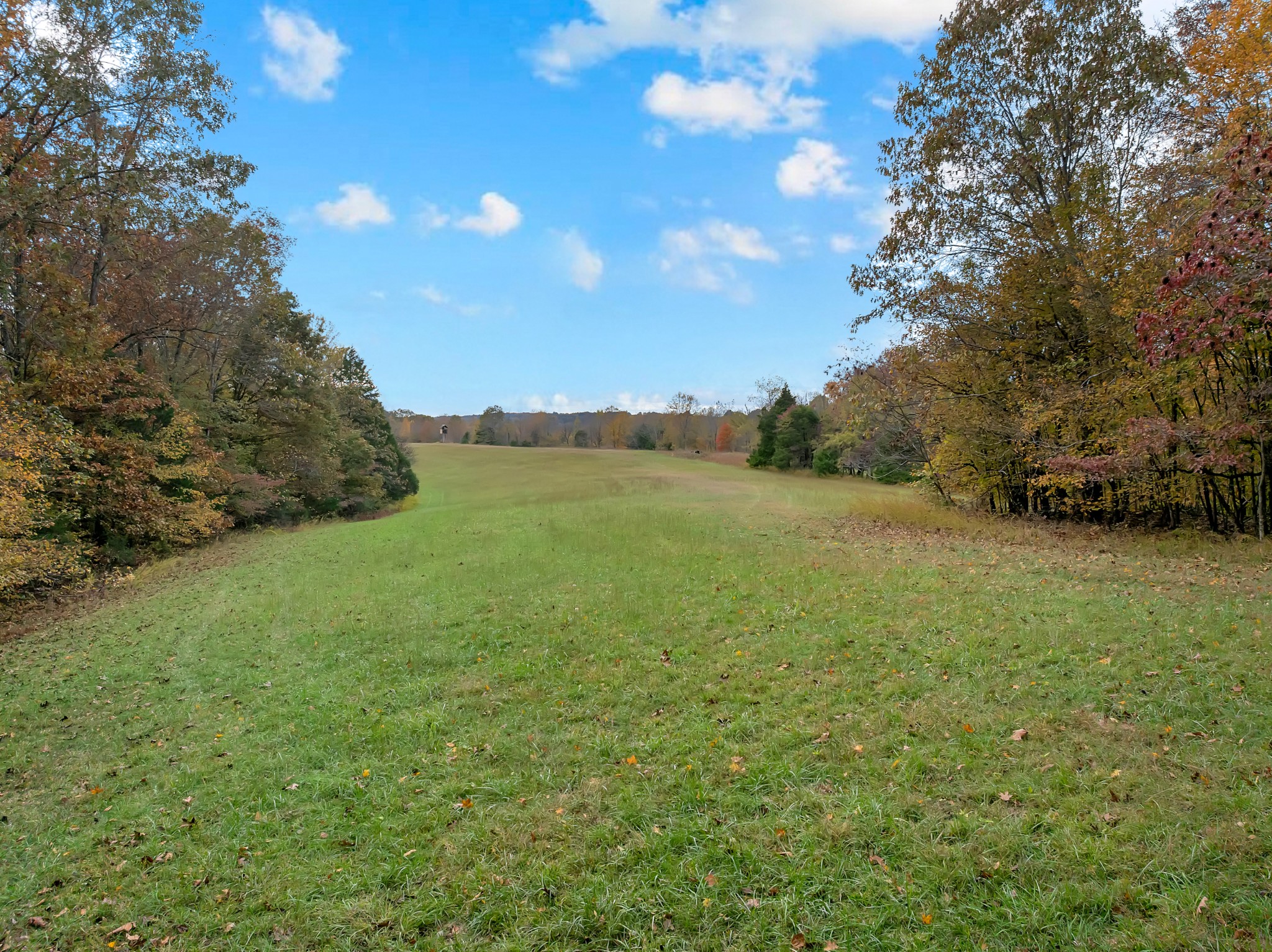 0 Batson Mill Road Charlotte, TN 37036 - Photo 3 of 22